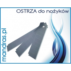 Ostrza do nożyków [10szt.]